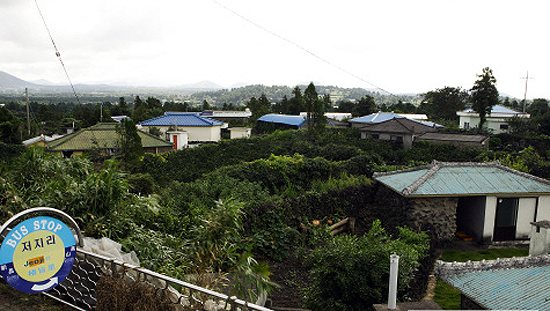 제주시 한경면 저지리