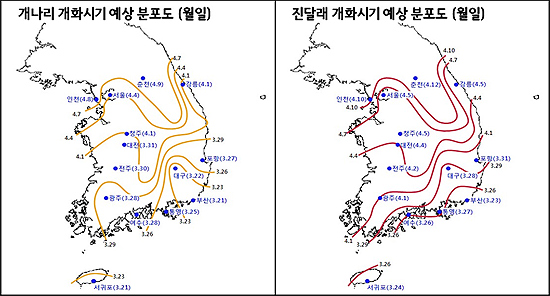 2013년 주요도시 봄꽃(개나리, 진달래) 개화 예상시기