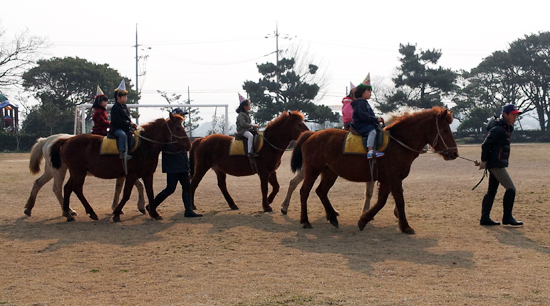 제주 서귀포시 시흥초등학교 신입생들이 말을 타고 입학식장에 들어서고 있다.