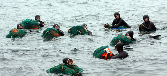 물질하는 해녀들 / 제이누리 DB