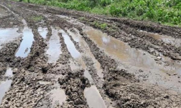 농경지에 과다 살포된 축산분뇨.<제주시 제공>