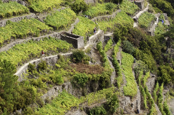 이탈리아 친퀘테레 트레일. <제주올레 제공>