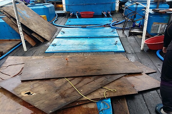 어창에 숨어 육지부로 무단이탈한 불법체류자들이 입건됐다.