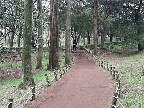 제주 한라수목원 무장애 데크길. [제주 세계유산본부 제공]