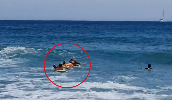 25일 제주지방해양경찰청에 따르면 지난달 19일 오후 4시께 서귀포 중문해수욕장에서 물놀이하던 50대 여성이 이안류(역파도)에 바다로 떠밀려가는 일이 벌어졌다. 제주해경청 특공대 소속 이정우 경장은 비번날 서핑을 즐기던 중 이를 발견, 구조에 나섰다. [제주해양경찰청 제공]